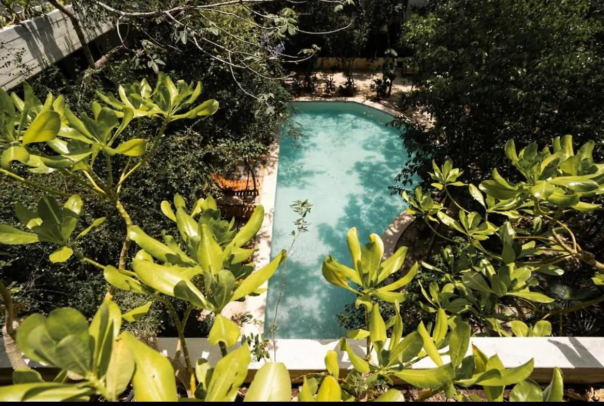 Penthouse En La Veleta Tulum Con Alberca Privada Apartment