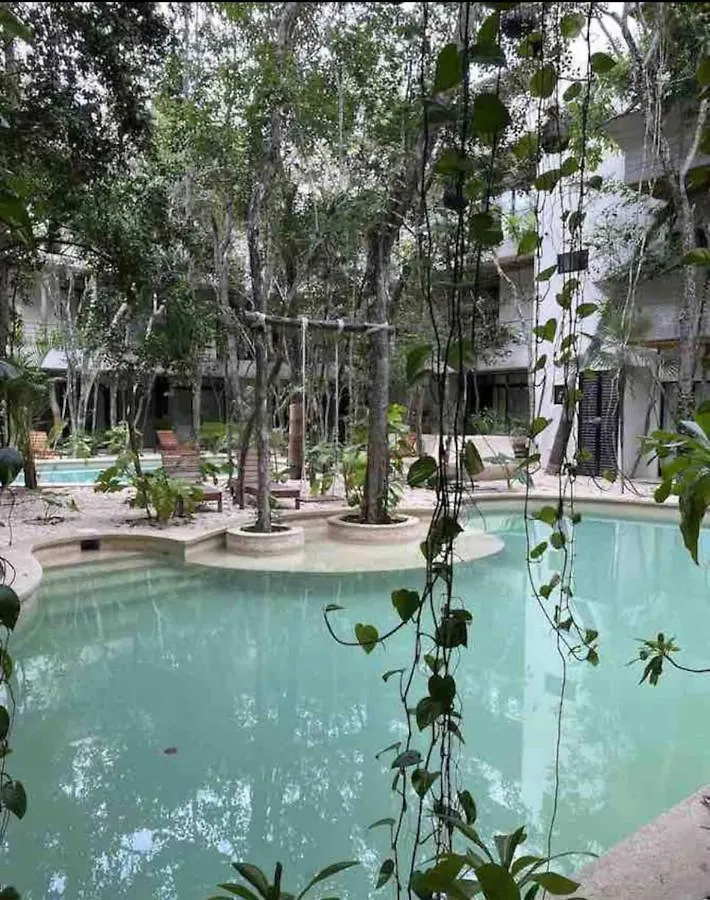 Penthouse En La Veleta Tulum Con Alberca Privada Apartment Mexico